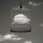 cloud in the cage