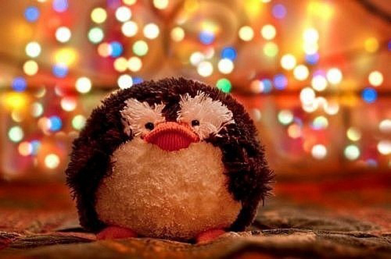christmas-cute-penguin-Favim.com-249247